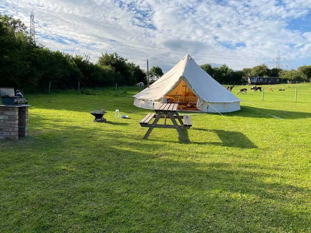 Tickhill Alpacas glamping in yorkshire